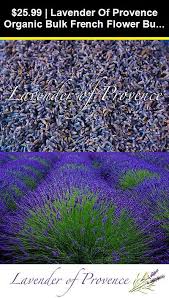 Pin On Dried Botanicals And Potpourri 160648