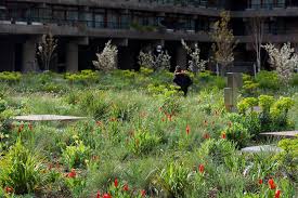 Nigel Dunnett On Twitter Plants Habitats Garden