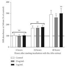 Image result for Afrostyrax