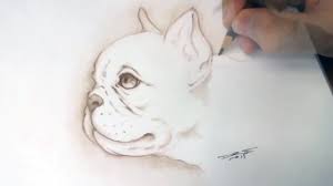How to draw a bulldog face. How To Draw A Puppy French Bulldog Time Lapse Kitty Drawing Drawings Bulldog Images