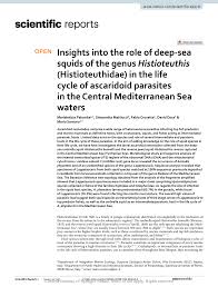 Ch beck 2% reducere pentru contactele prin clubafaceri.ro. Pdf Insights Into The Role Of Deep Sea Squids Of The Genus Histioteuthis Histioteuthidae In The Life Cycle Of Ascaridoid Parasites In The Central Mediterranean Sea Waters