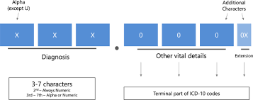 Automatic Multilabel Detection Of Icd10 Codes In Dutch Cardiology Discharge Letters Using Neural Networks Npj Digital Medicine