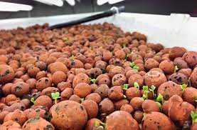 Check spelling or type a new query. Grow Media Hydroponic Expanded Clay Pebbles