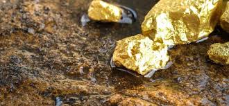 Our gold panning and gem mining areas are completely indoors, so the weather is no issue. Pure Gold Mining Inc Says Underground Exploration Drilling Has Intersected High Grade Gold Mineralization Near The Existing Main Ramp Access At The Puregold Red Lake Mine In Ontario