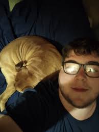 I swore I'd never be one of those dog parents who would let the dogs sleep 