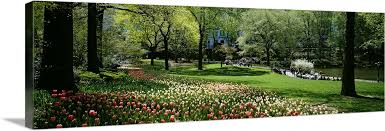 Maybe you would like to learn more about one of these? Flowers In A Park Central Park Manhattan New York City New York State Wall Art Canvas Prints Framed Prints Wall Peels Great Big Canvas