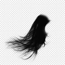 Elegant Scattering Hair Elegant Flowing Hair Png Pngegg Are you searching for hair png images or vector? elegant scattering hair elegant