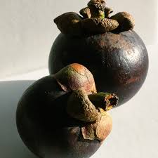Image result for Garcinia mangostana