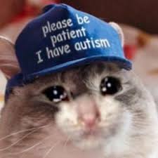 Cats are rarely born with problems that resemble the human equivalent of a mental handicap. Autism Cap Crying Cat Know Your Meme