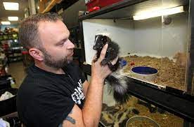Maybe you would like to learn more about one of these? Reptiles Rats Beat Out Cats Dogs At New Jersey Exotic Pet Shop Entertainment Life Providencejournal Com Providence Ri