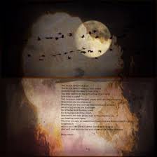 Full Moon And Mary Oliver Poem Mary Oliver Poems Body Love Mary Oliver