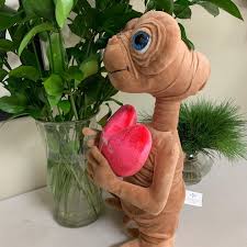 Crazy daisy flowers & gifts. Crazy Daisy Flowers Gifts Posts Facebook