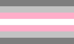 و هدفنا هو العيش بكبرياء و اعتزاز و ايجابيه في هذا العالم. File Demigirl Pride Flag Png Wikipedia