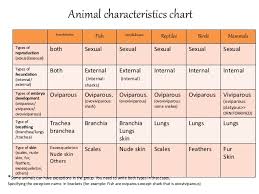 Animal Characteristics Chart