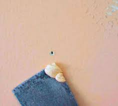 Aku pergi mamah ditambah cairan meleleh dari sela2 memeknya, mungkin itu bekas pergelutannya saat asik tertidur aku merasa kontolku ada basah2 enak, setelah kubuka mata aku, kulihat ke. Cara Menutup Bekas Paku Pada Dinding Yuso Tch