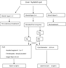 Check spelling or type a new query. Current Approaches In The Surgical Treatment Of Liver Hydatid Disease Single Center Experience Bmc Surgery Full Text