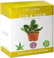 How often do you all check the soil? i'm horrified to admit how long some of my plants have been in the same soil.but thriving in more cacti and succulents threads. 100 Best Holiday Gifts From Walmart Under 100 Succulents Garden Gifts Cactus Plants