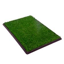 Dog Grass Pad Large Artificial Grass (39.4''X31.5''), Dog Grass Pee Mats  For Indoor Outdoor Use,Puppy Training Washable Replacement Turf - With A  Dog Poop Shovel : Amazon.Ca: Pet Supplies