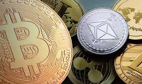 Ripple and xrp are often used interchangeably on most crypto trading and exchange websites. Bitcoin Shock 800 Cryptocurrencies Are Dead As Bitcoin Loses 70 Per Cent Off Its High City Business Finance Express Co Uk