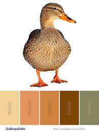 Color Palette Ideas Icolorpalette Colors Inspiration Graphics Design Inspiration Beautiful Colorpalette Color Palette Color Schemes Color Inspiration