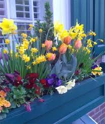 Spring centerpiece ideas that combine the fresh blooms of the season with attractive vases and many of these centerpieces take advantage of different kinds of containers for flowers and for the 54. Container Garden Eye Candy Window Box Flowers Flower Window Container Gardening