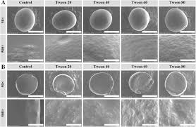 Emulsion Stabilization Mechanism Of Combination Of Esterified Maltodextrin  And Tween 80 In Oil-In-Water Emulsions | Food Science And Biotechnology