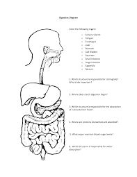 This is a biology quiz for children in 2nd, 3rd, 4th, 5th and 6th grades. Coloring Pages Of Digestive System Coloring Home