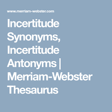 Incertitude Synonyms Incertitude Antonyms Merriam Webster Thesaurus Thesaurus Fancy Words Antonyms