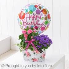 Birthday flowers are for all kinds of lovely occasions because they speak the language of the heart. Happy Birthday Summer Planted Tin With Happy Birthday Balloon Buy Online Or Call 0800 118 2053