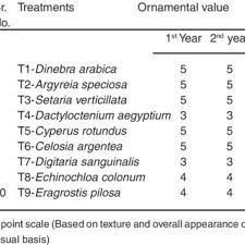 Image result for Warneckea cordiformis