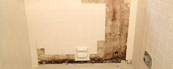 If the water damage spreads to the walls and the floors, that number can shoot up much higher. Mold In The Shower Causes How To Clean It Environix