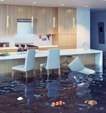 How long does it take for black mold to grow after water damage. How Fast Does Mold Grow Canada S Restoration Services