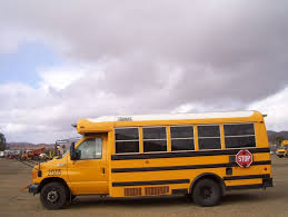 Image result for School Bus Yellow 2000 F250