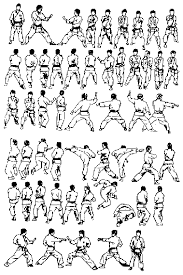 Check spelling or type a new query. The Shotokan Katas Karate Do Sanchin