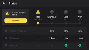 The best binomo trading onlilne platform trading online. Review Of Binomo In Uae How The Trading Platform And App Works