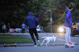 2002 our dogs (documentary) (director of photography). Liverpool S Alberto Moreno Walks Dog On His Segway After Vowing To Keep Improving With The Reds Mirror Online