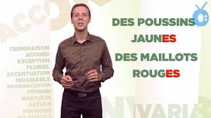 Adjectifs de couleur exercice 1. Quel Est Le Pluriel Des Adjectifs De Couleur Orthodidacte Com Youtube