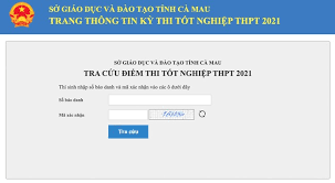 Nhập số báo danh của thí sinh vào ô tìm kiếm. Zzkeqxidjwph8m