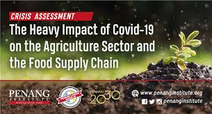 Someone who tests positive for the virus with a molecular test is. The Heavy Impact Of Covid 19 On The Agriculture Sector And The Food Supply Chain Penang Institute