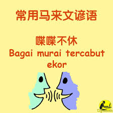 Murai khas aceh inipun memiliki bentuk badan secara keseluruhan, serta mental yang tangguh dan mudah menyesuaikan diri dengan lingkungan. Bagai Murai Tercabut Ekor