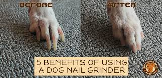 should ditch your dog s nail clippers