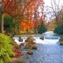 Profile Picture of The Eisbach river in the Englischer Garten in Munich | DB Regio Bayernon Google