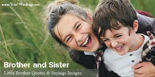 Stay silly with these hilarious quotes for your brother or sister. Little Brother Quotes From Big Brother And Sister Images