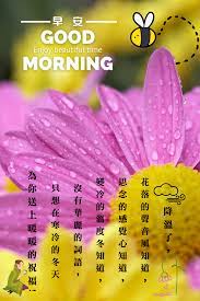 為您送上暖暖的祝福 in 2021 morning greeting morning best