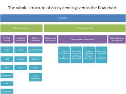Unit 1 Topic 2 Ecology And Ecosystem Ppt Download