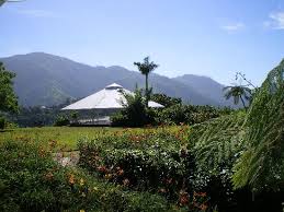 Check spelling or type a new query. Landscape Picture Of Strawberry Hill Jamaica Tripadvisor