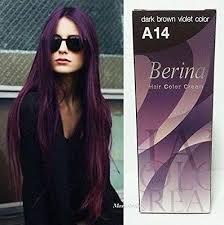 A14 Hair Cream Berina Dye Permanent Color Professional Style Colors Violet Hair Colors Violet Hair Hair Color Cream