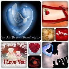 Image result for tbn:NPPRMe2lt8--qM::gallery.dll3.com/data/media/5/mw40_L.jpg