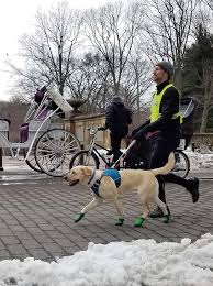 This will empower you to continue developing a new and. Nyc Half Marathon Guide Dog Relay Training Logs Guiding Eyes For The Blind