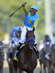Namun, jika anda ingin tambahkan motif, anda bisa tambahkan motif simple di bagian keramik dapur. Preakness Stakes Entries Bet On The 2022 Preakness Stakes